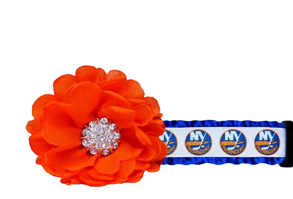 NY Islanders Dog Collar