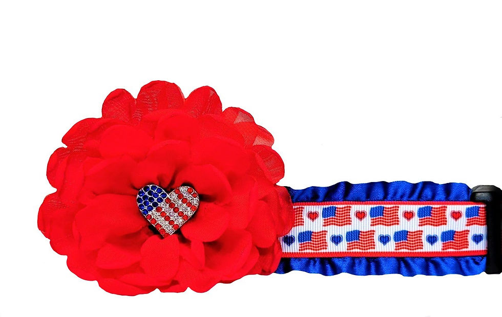 4th of July Small Flag Dog Collar