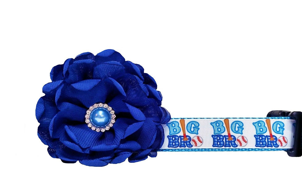 Big Brother Dog Collar