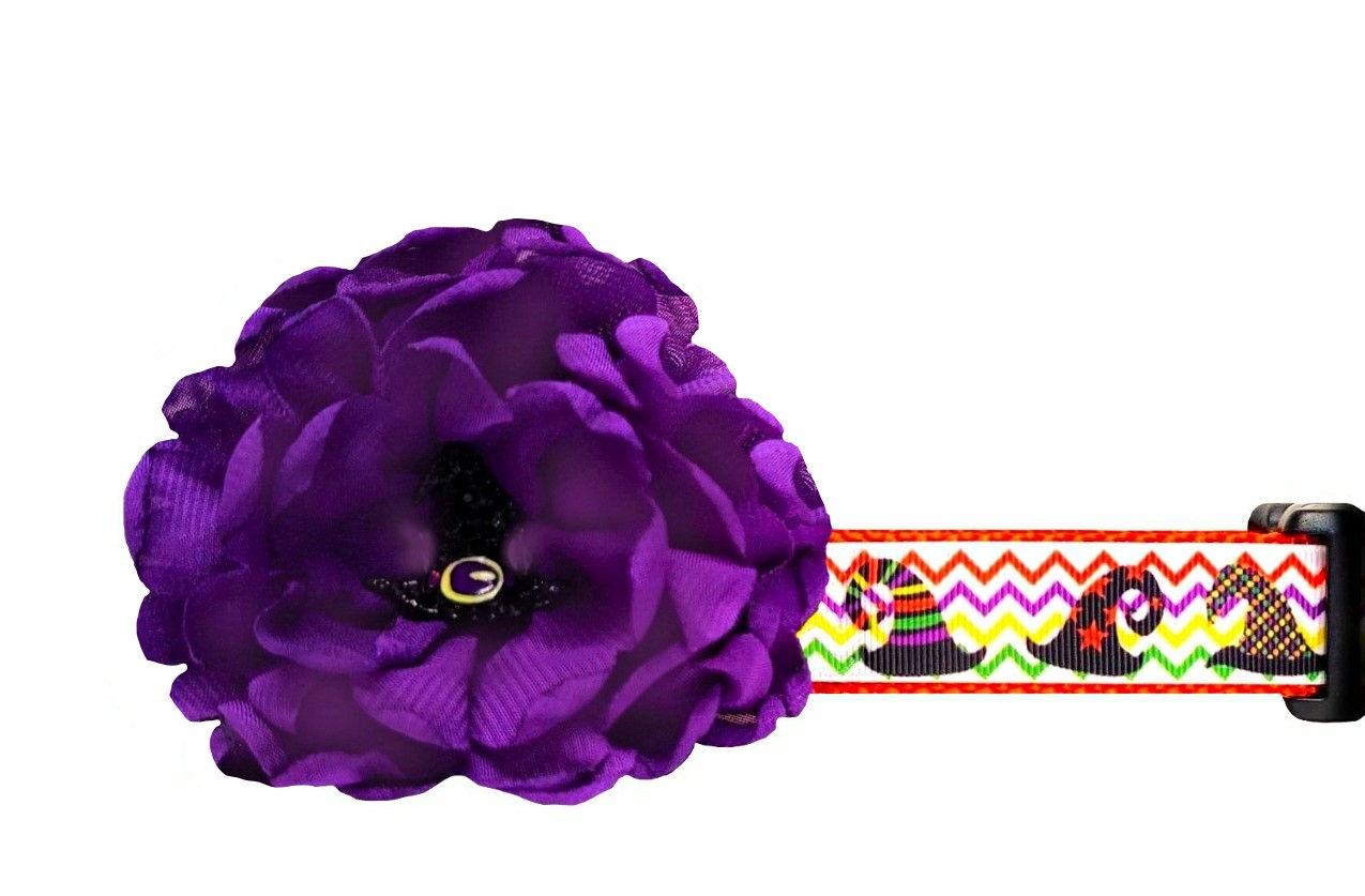 Halloween Witch Hat Dog Collar