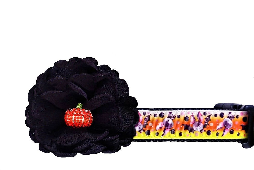 Bat Halloween Dog Collar