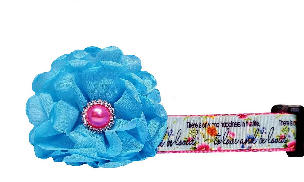 Love and Be Loved Dog Collar