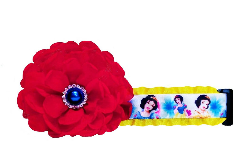 Snow White Dog Collar