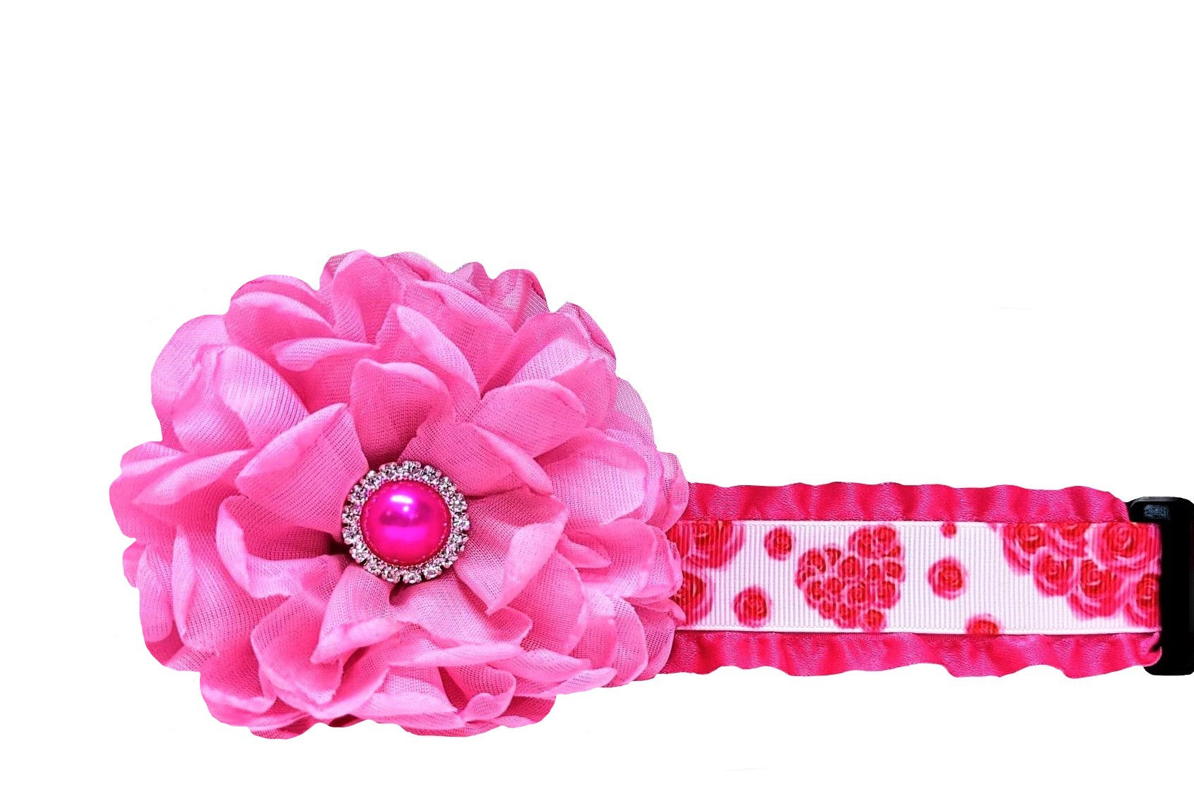 Valentines Day Roses Dog Collar