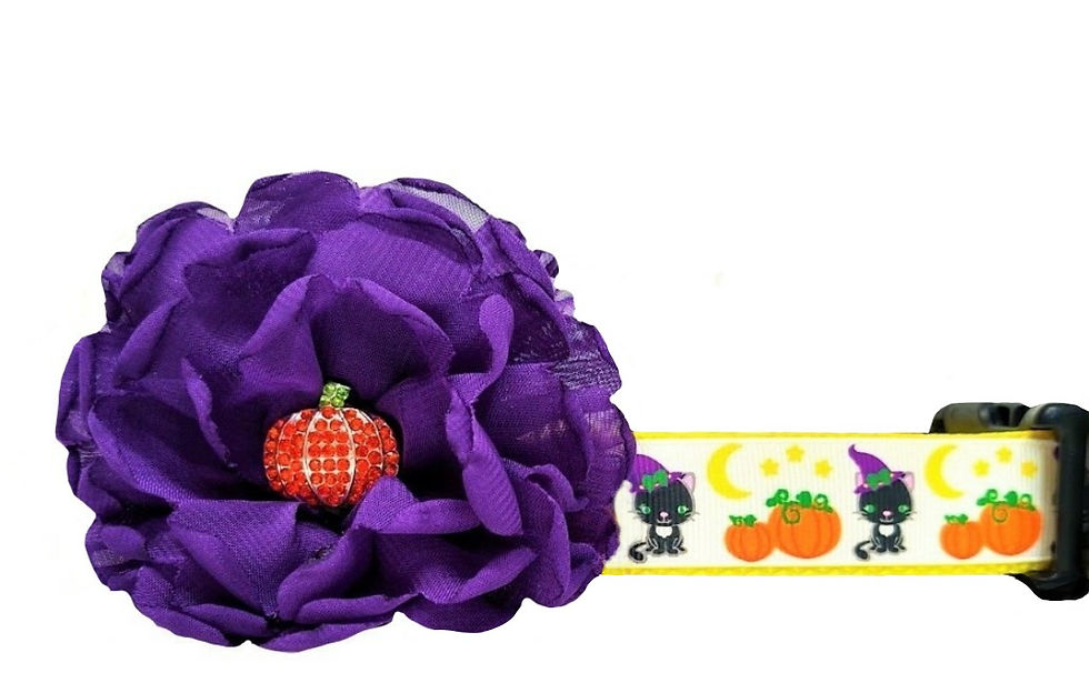 Halloween Cat, Pumpkin & Moon Dog Collar