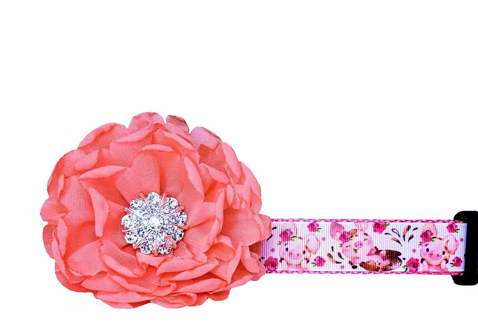 My Little Piggy Dog Collar