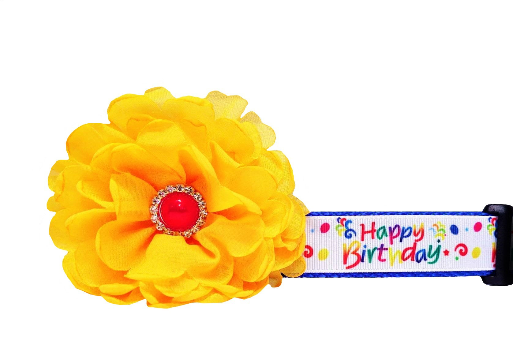 Happy Birthday Dog Collar
