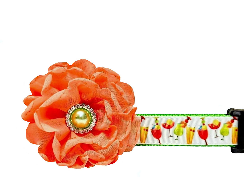 Tropical Drinks Cocktails Dog Collar