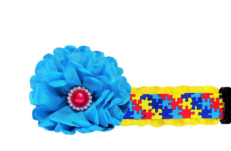 Autism Awareness Dog Collar