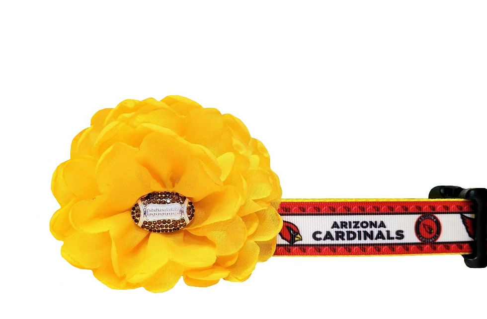 Cardinals Dog Collar
