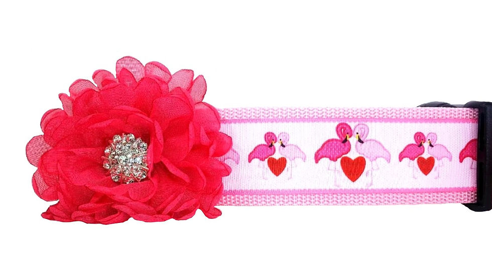 Flamingo Dog Collar 2" wide
