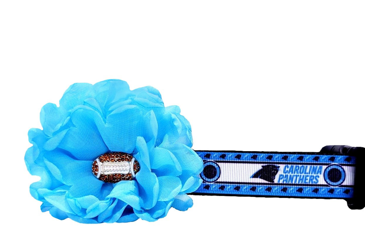 Carolina Panthers Dog Collar