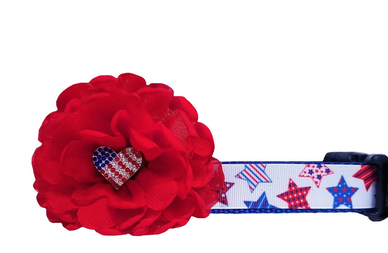 4th of July Patriotic Stars Dog Collar
