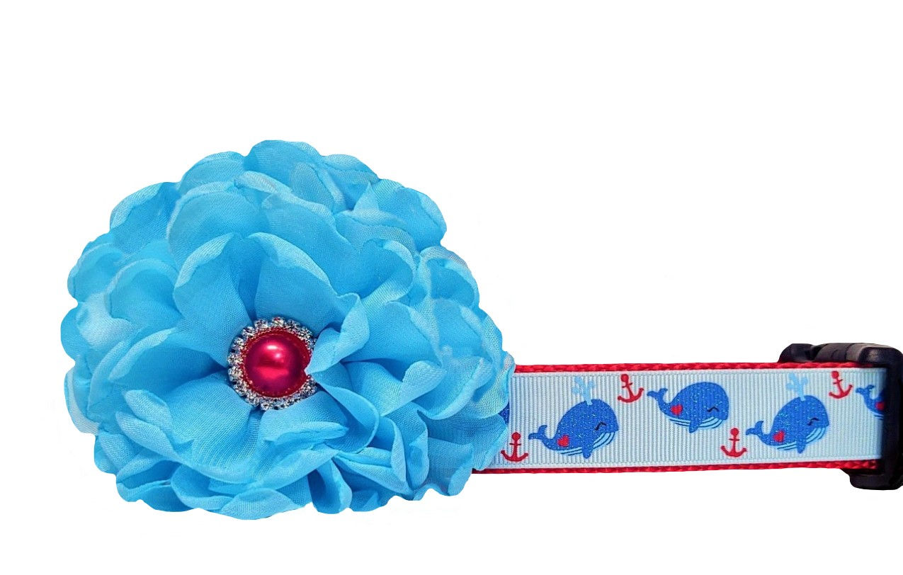 Blue Whale Dog Collar