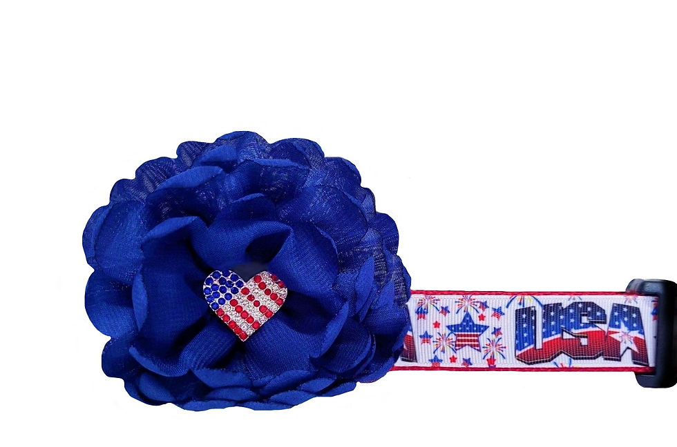 USA Patriotic Dog Collar
