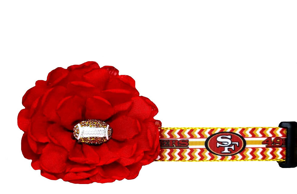 San Francisco 49ers Dog Collar