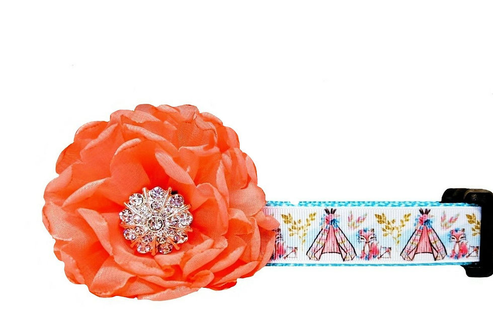 Indian Tepee Dog Collar