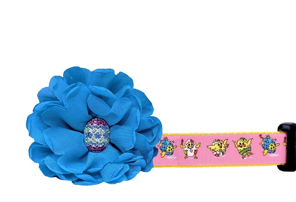 Easter Chicks & Eggs Dog Collar