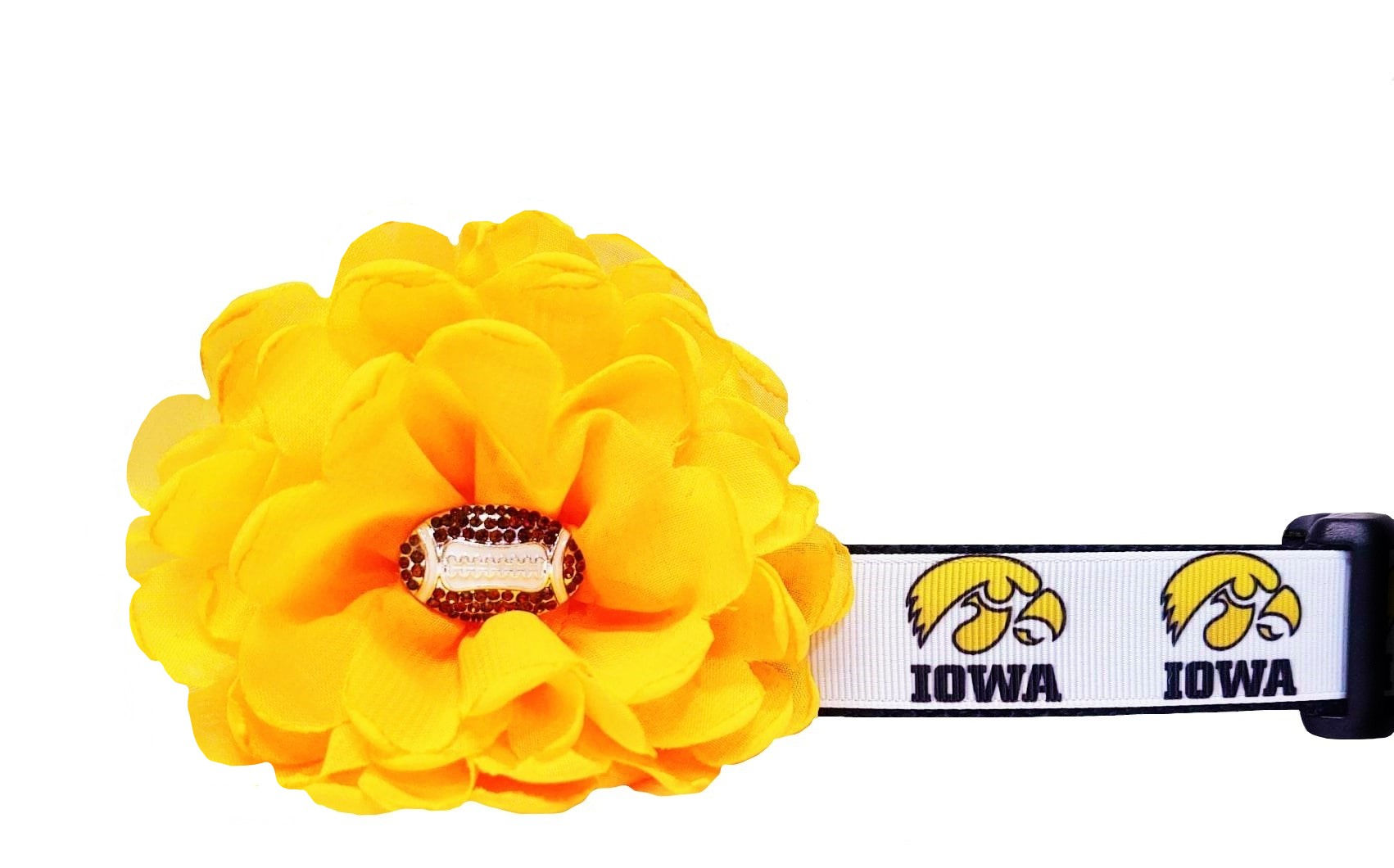 Hawkeyes Dog Collar
