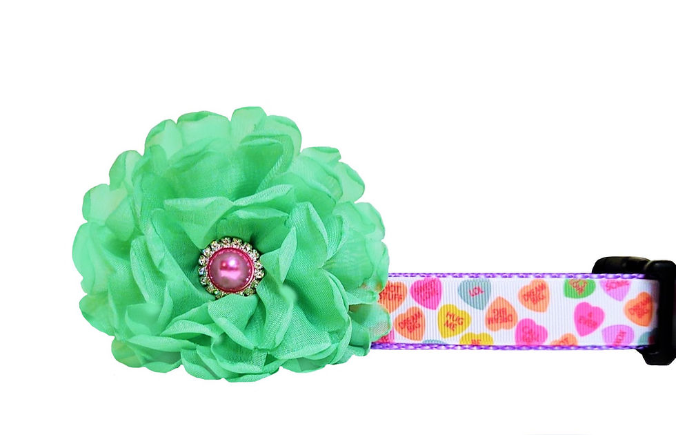 Valentines Day Candy Heart Dog Collar