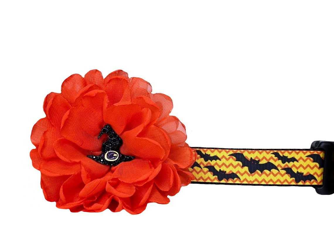 Halloween Bats Dog Collar