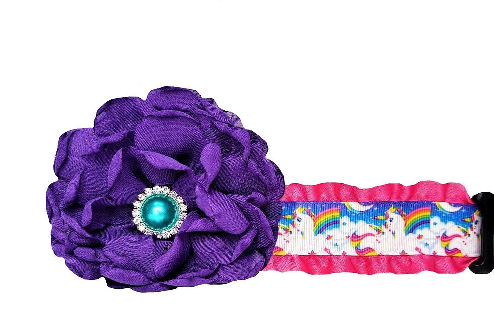 Unicorns & Rainbows Dog Collar