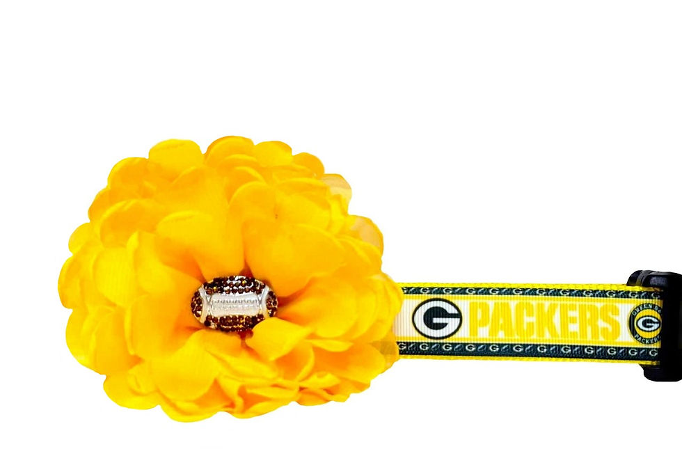 Green Bay Packers Dog Collar