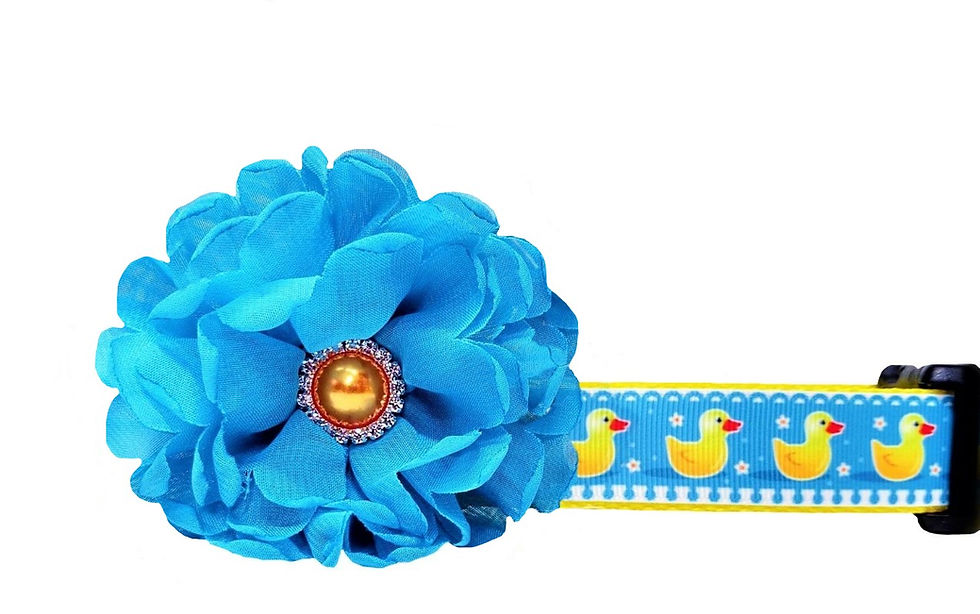 Rubber Ducky Dog Collar
