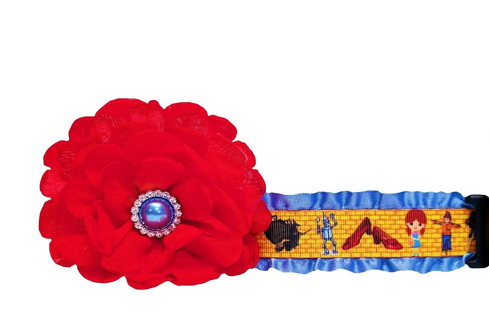 Yellow Brick Road Dog Collar