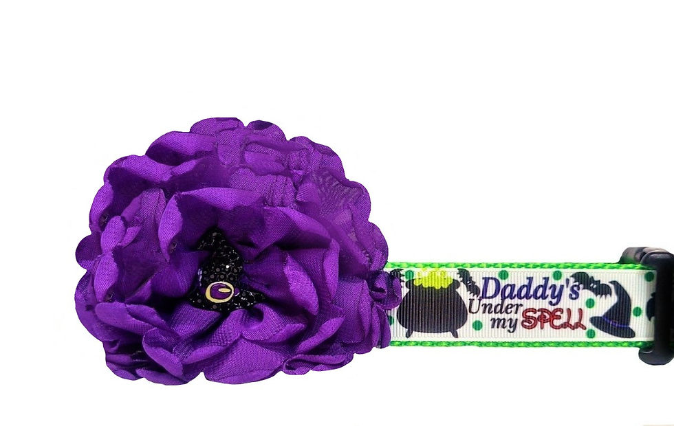 Daddys Under My Spell Halloween Dog Collar