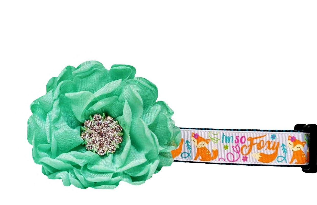 I'm so Foxy Dog Collar