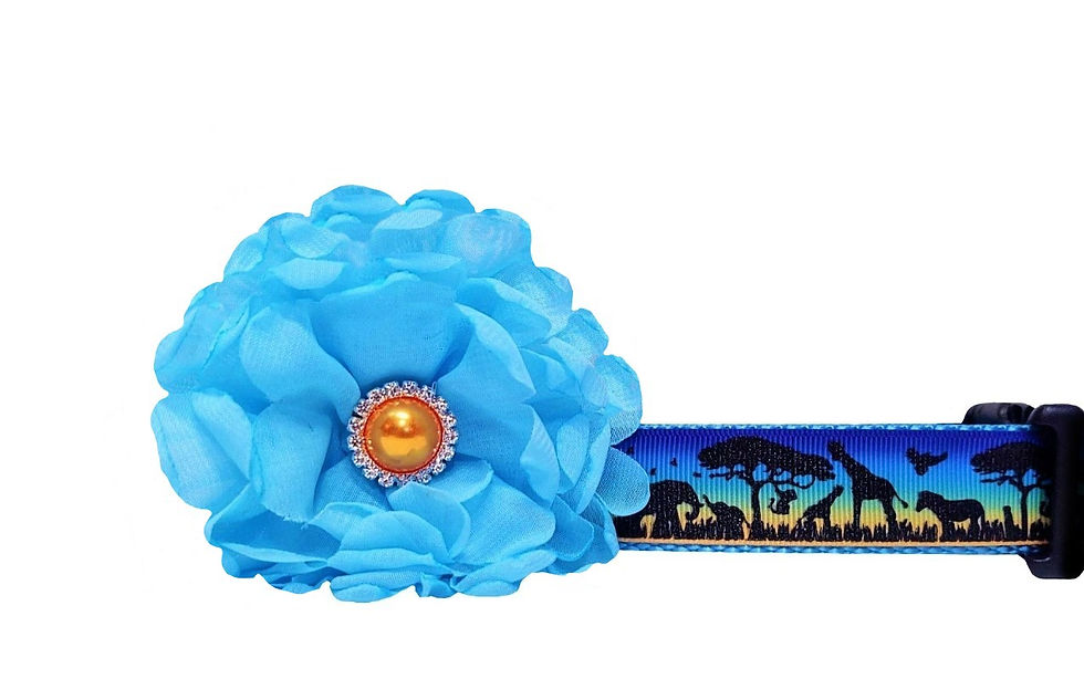 Safari Animals Blue Dog Collar
