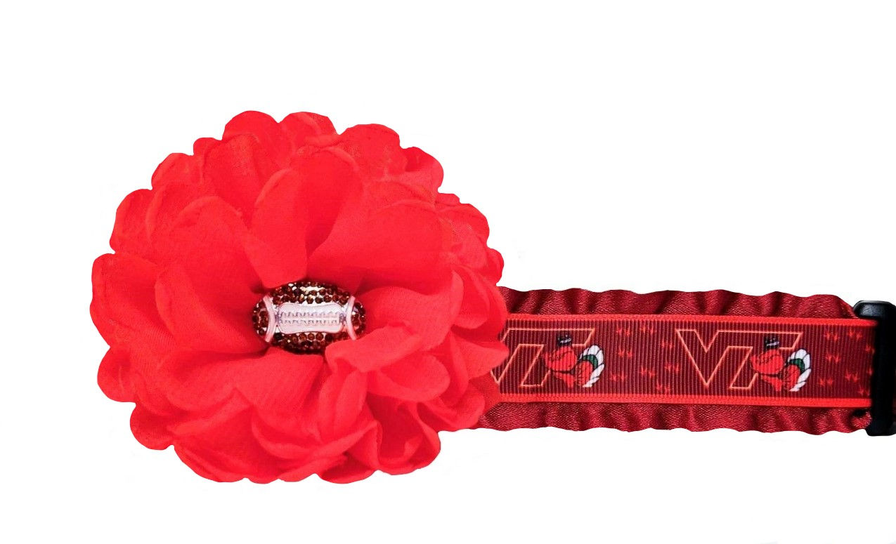 VT Hokies Dog Collar