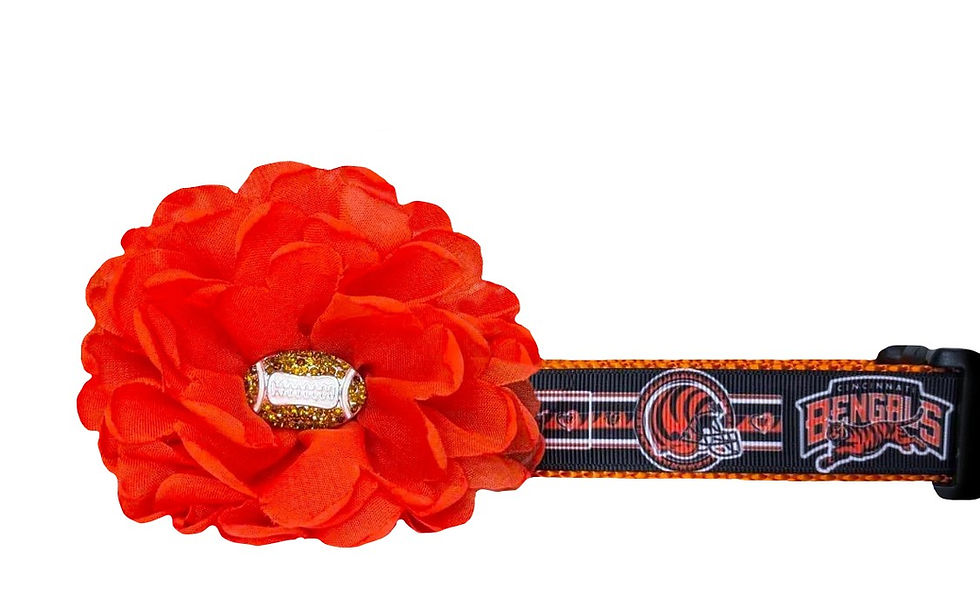 Bengals Dog Collar