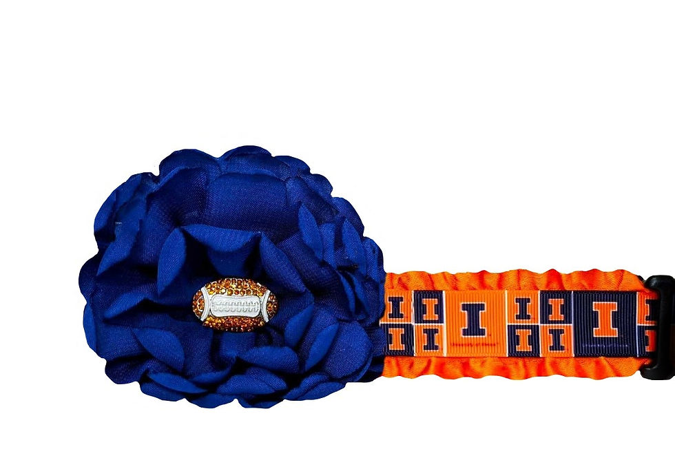 Fighting Illini Dog Collar