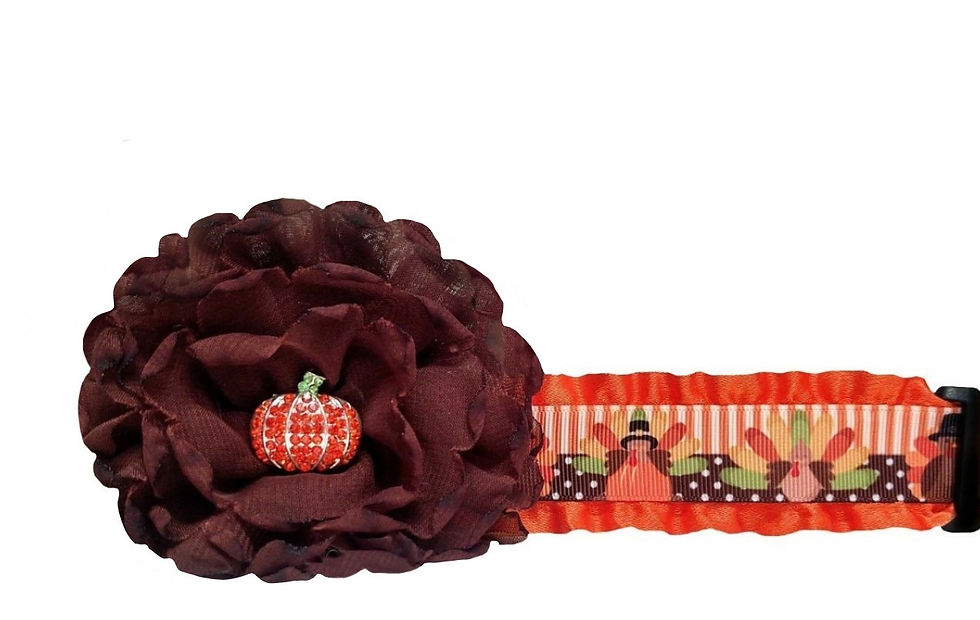 Thumbnail: Thanksgiving Dog Collar