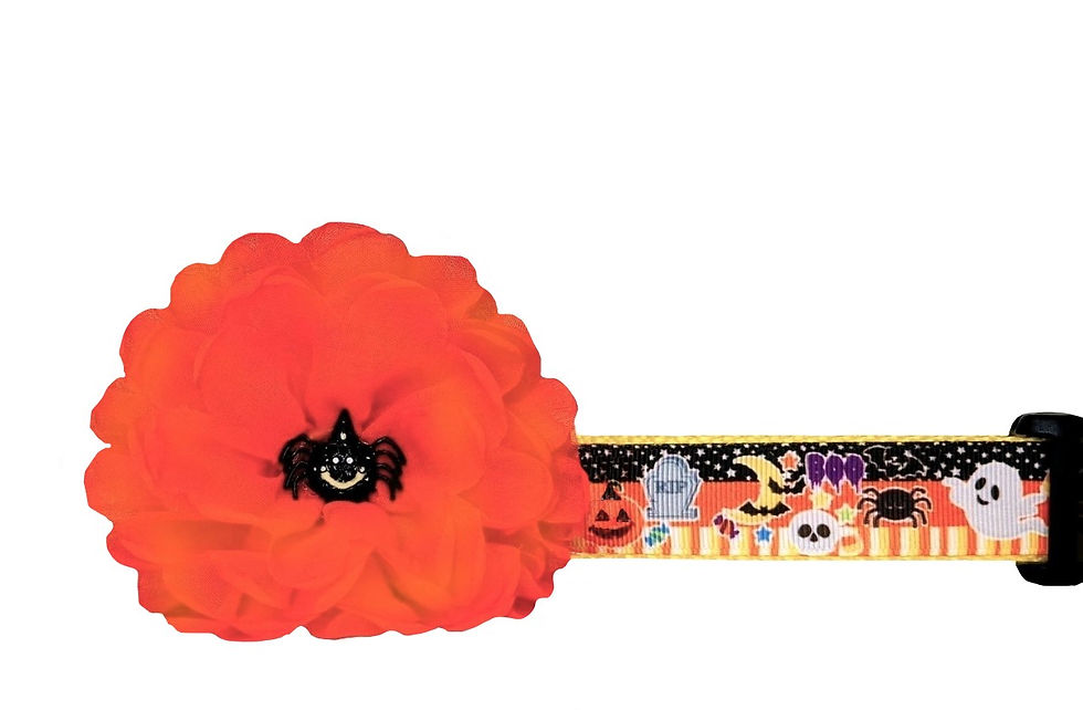 Halloween Characters Dog Collar