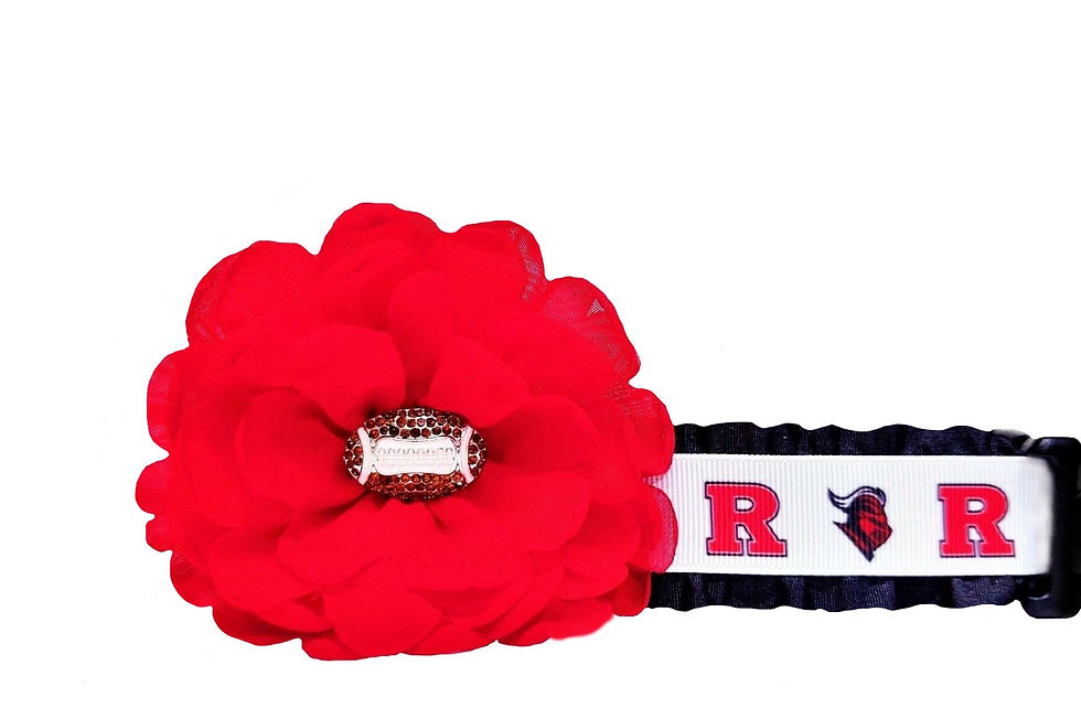 Scarlet Knight Dog Collar