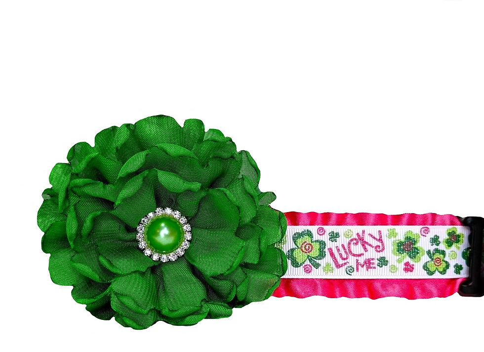 Lucky Me St Patricks Day Dog Collar