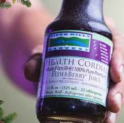 Elderberry Cordial: The Taste of the Holidays