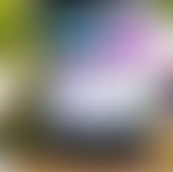 River Hills Harvest American Elderberry Juice