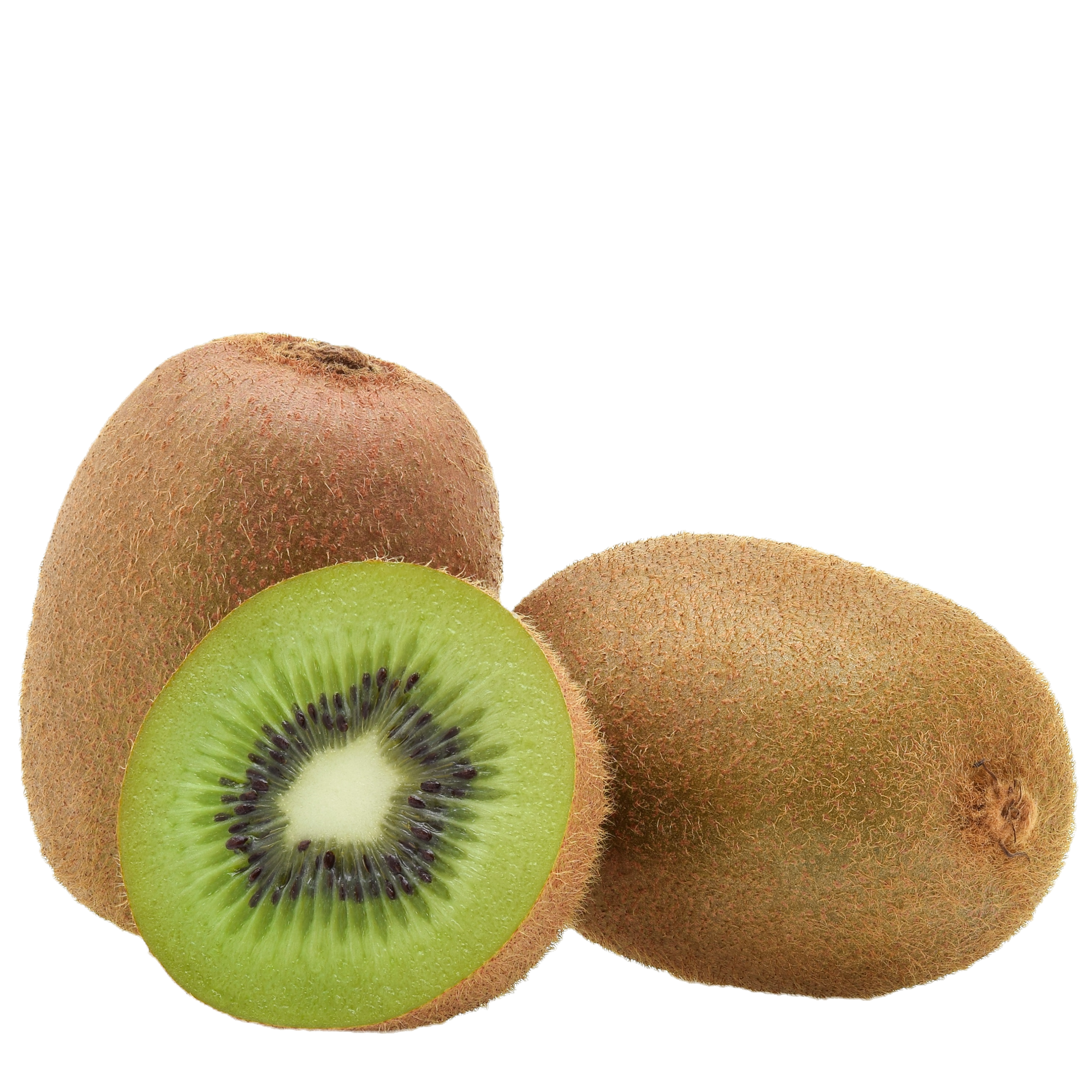 Gruene-Kiwi-vom-Fruechte-Kontor
