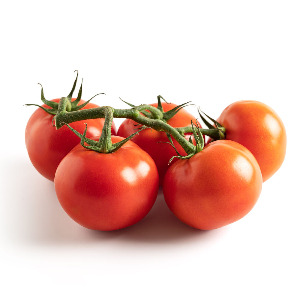 Strauchtomaten 1 KG vom Früchte-Kontor online kaufen