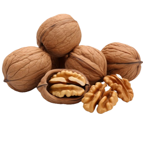 Walnüsse kaufen