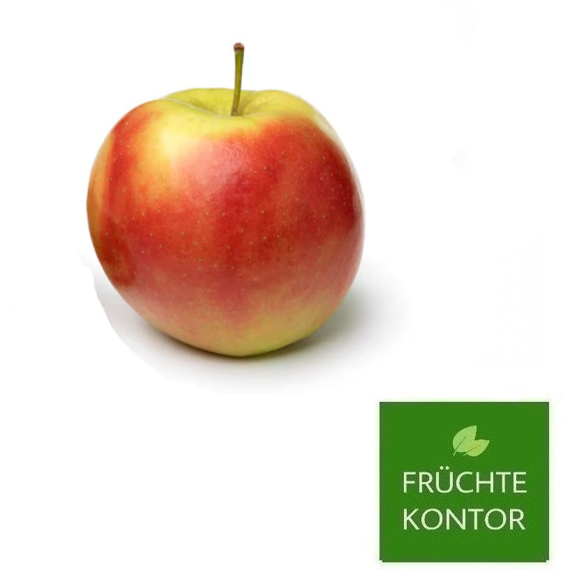 apfel-elstar-vom-früchte-kontor