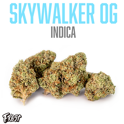 FROST Skywalker OG WB.png
