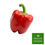 Miniaturbild: paprika-rot-vom-fruechte-kontor