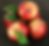 Apfel Royal Gala 1 KG online kaufen
