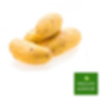 kartoffeln-bio-linda-vom-früchte-kontor