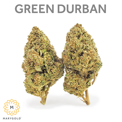 Marygold - Green Durban Sq.png